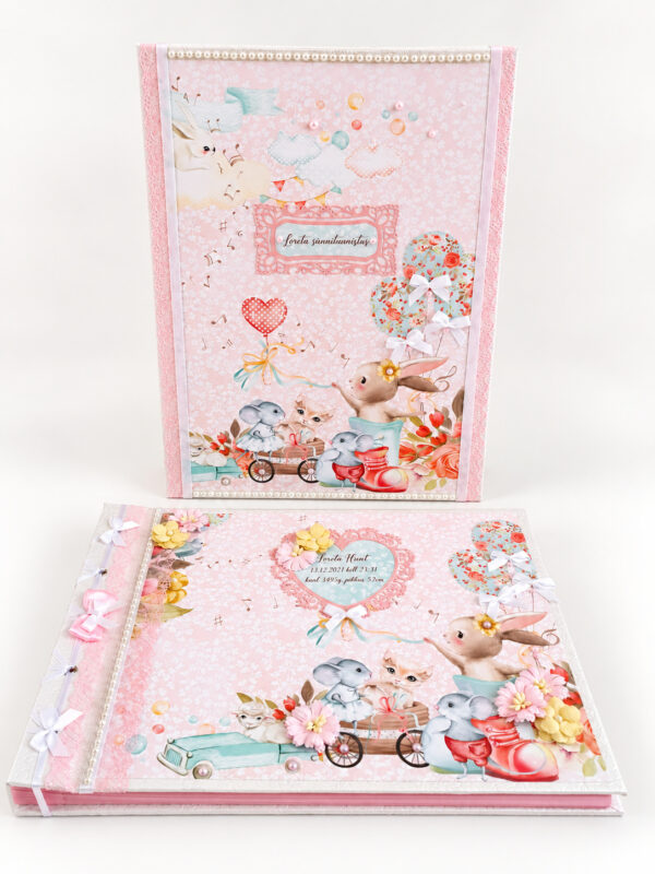 Katsikukomplekt 2